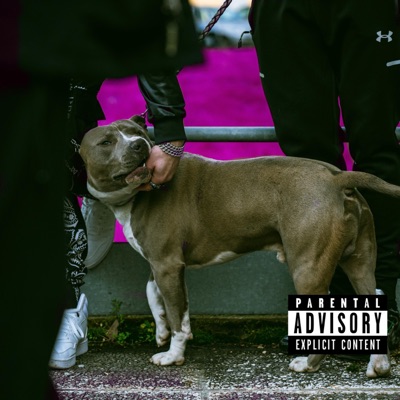 OH MAMA  (feat. DrippMattt, Aminoss, KIN$, Tyson519, Drippyruddy & Raul) [RMX] - Single