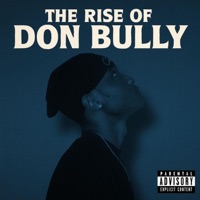 THE RISE OF DON BULLY - EP - Priddy king