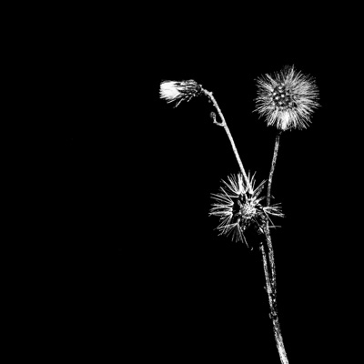 Sun Brings Joy (Radio Edits) - Single