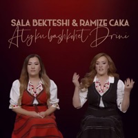 Aty ku bashkohet Drini (feat. Ramize Caka & Sala Bekteshi) - Single - FM Production