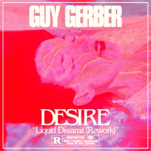 Liquid Dreams (Guy Gerber Rework) - Single