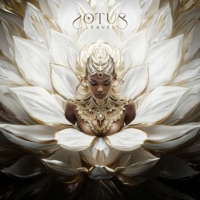 Lotus Leaves - Light Language