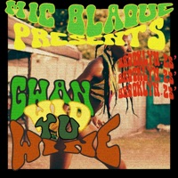 Gwan Wid Yu Wine - Single - Mic Blaque