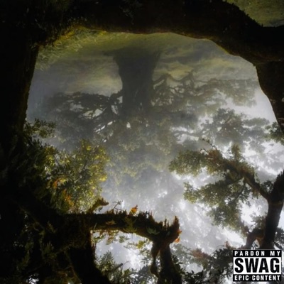 hey siri (feat. lxceed) - Single