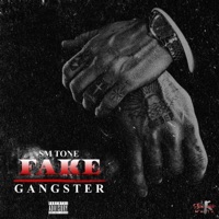 Fake Gangster - Single - SM Tone