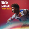 Janelas Abertas (feat. Theo Pas'cal & Zoe Pascal) - Pedro Bargado