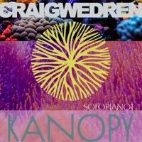 SOLOPIANO1 - Single - Craig Wedren