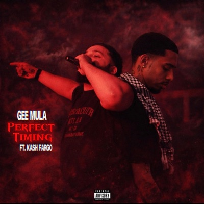 Perfect Timing (feat. Kash Fargo) - Single
