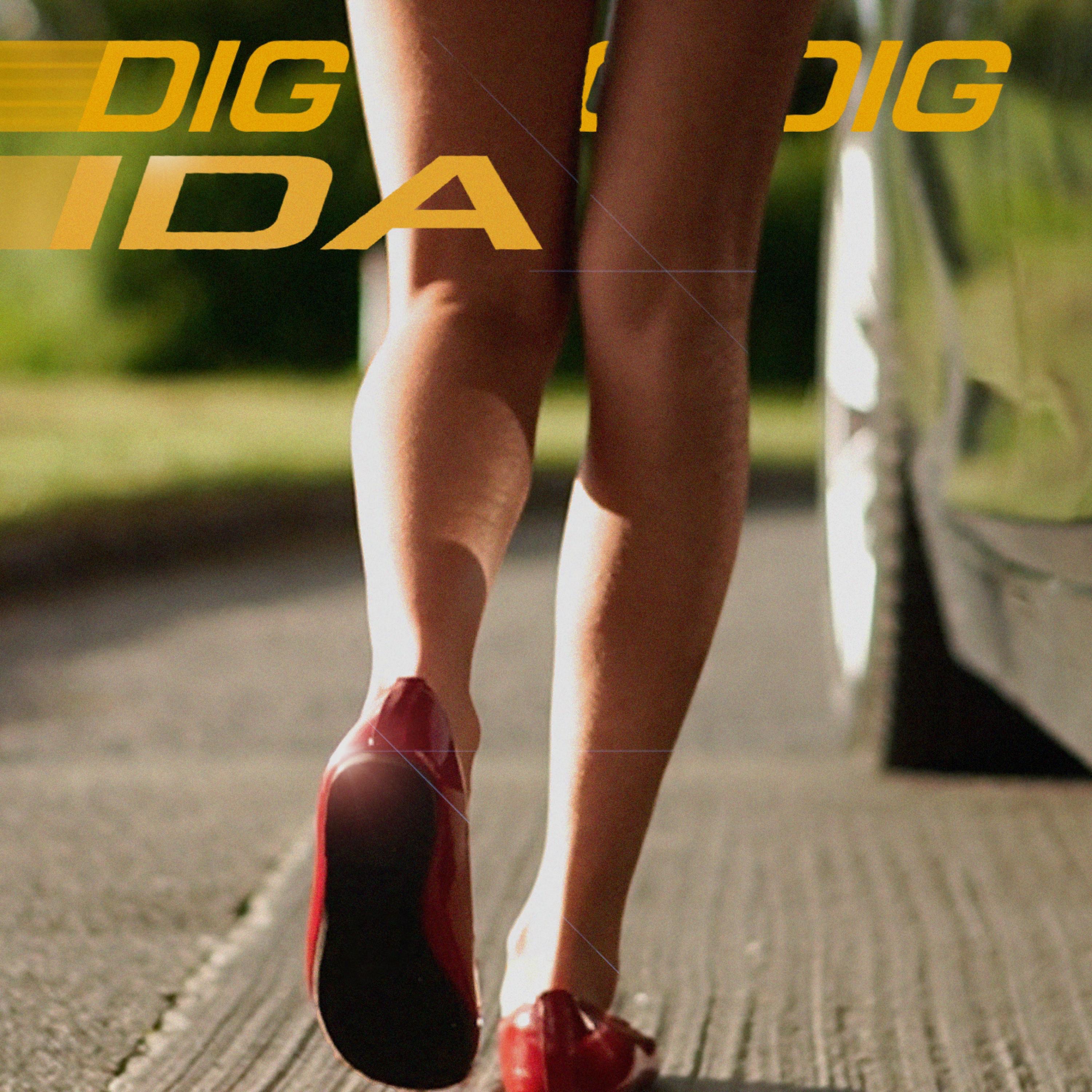 Dig - Single