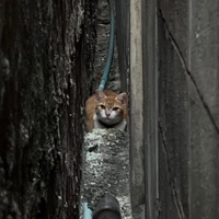 ดูท่าทางฝนกำลังจะตกแล้ว - Single - 34XP