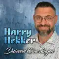 duizend kleine dingen