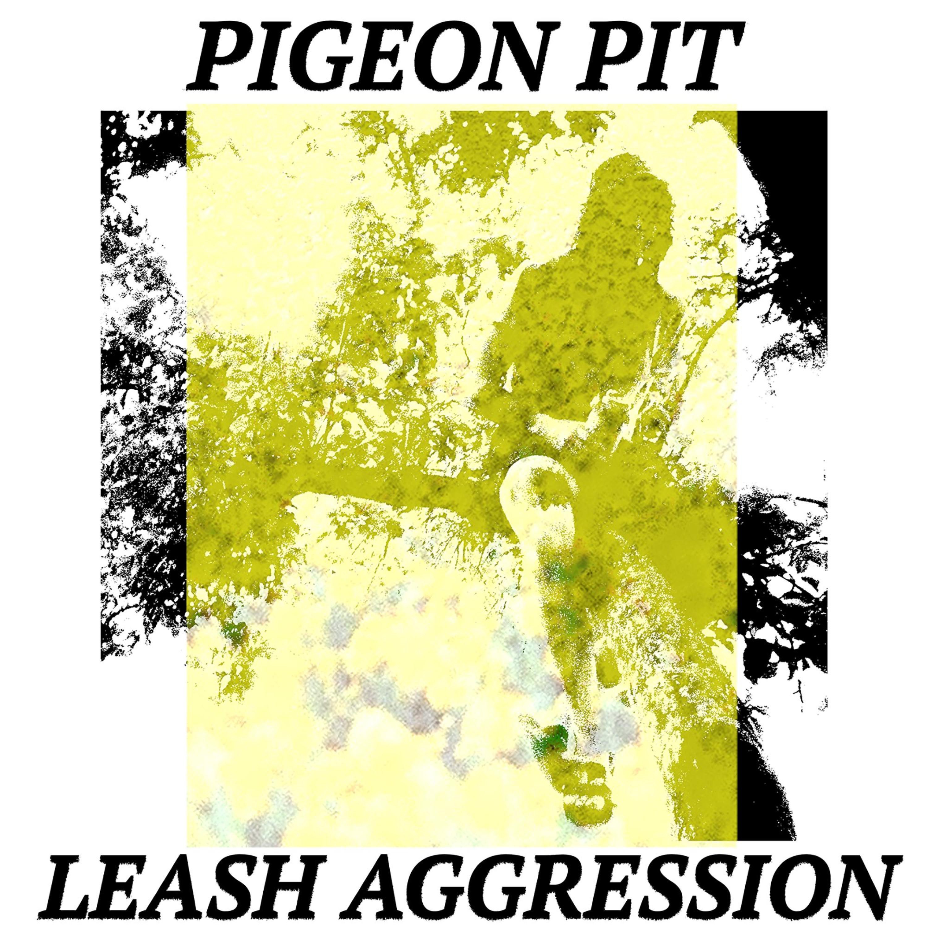 Leash Aggression