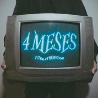 4 MESES (feat. Quevdor) - Single - P!TER