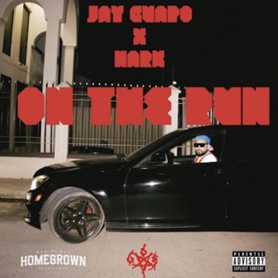 On The Run (feat. Nark Geezy & Los Geezys) - Single