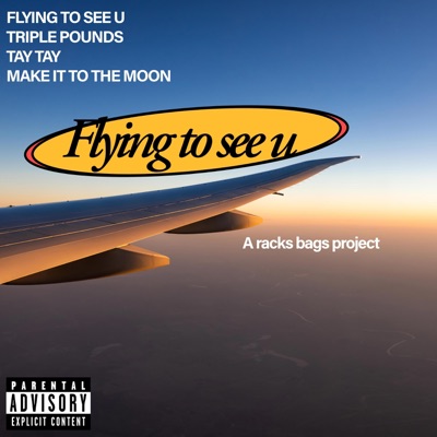 Flying to see u (feat. Mr Jisko & DAMAGE CONTROL) - EP