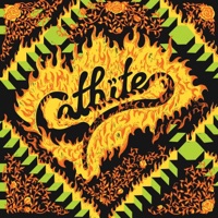 Put 'Em Away - Single - Catbite