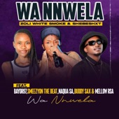 Wa nnwela (feat. Shebeshxt, Bayor97, SmeezyOn the Beat, Naqua SA, Buddy Sax & Mellow Rsa) artwork