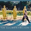 La segmentación - Single