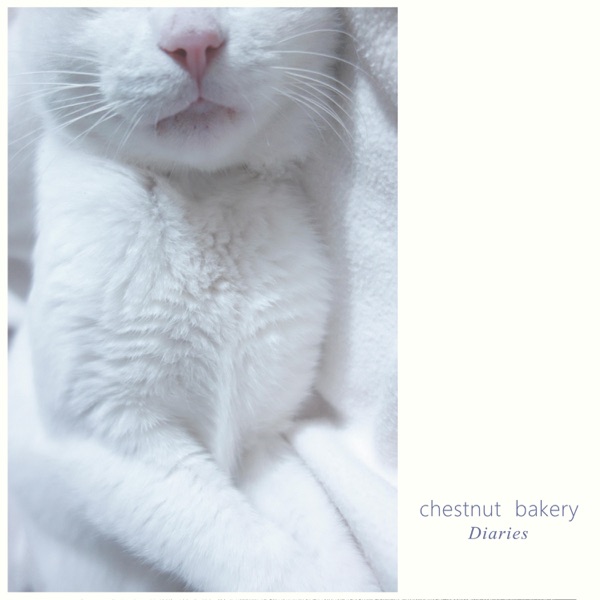 Diaries cover