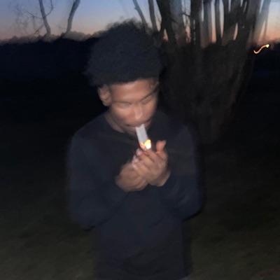 Not Your Average Zip