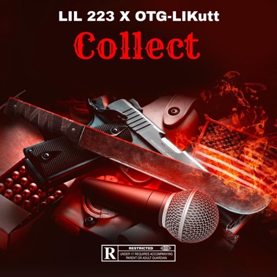 Collect (feat. Otg-likutt) - Single