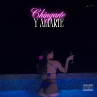Chingarte y Amarte - Single - Yien