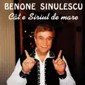 Un Bujor Si