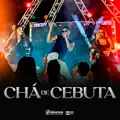 CHÁ DE CEBUTA