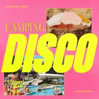 Camping Disco