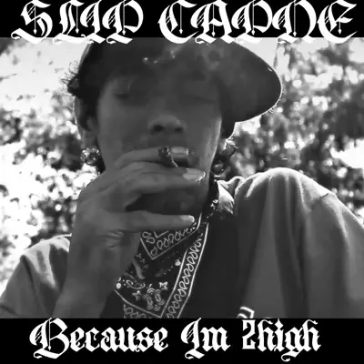 G-RAP【SLIP CAPONE】Greatest Features Slip Capone's Greatest Features by Slip Capone (Compilation