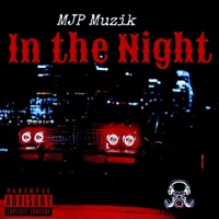 In The Night - Single - MJP Muzik