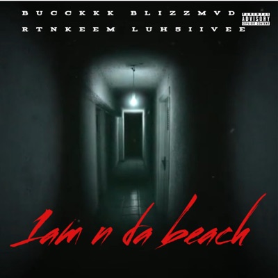 1am in da beach (feat. Blizzmvd, Rtnkeem & Luh5iivee) - Single