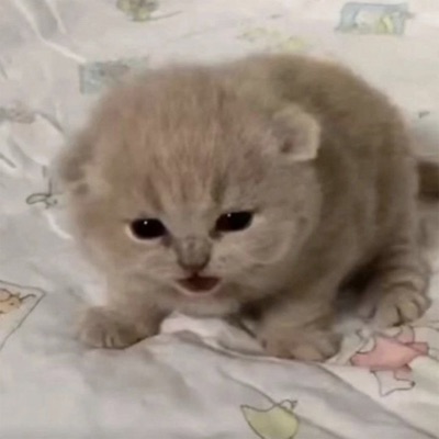 DJ Bravus - Parent Issues (Remix)