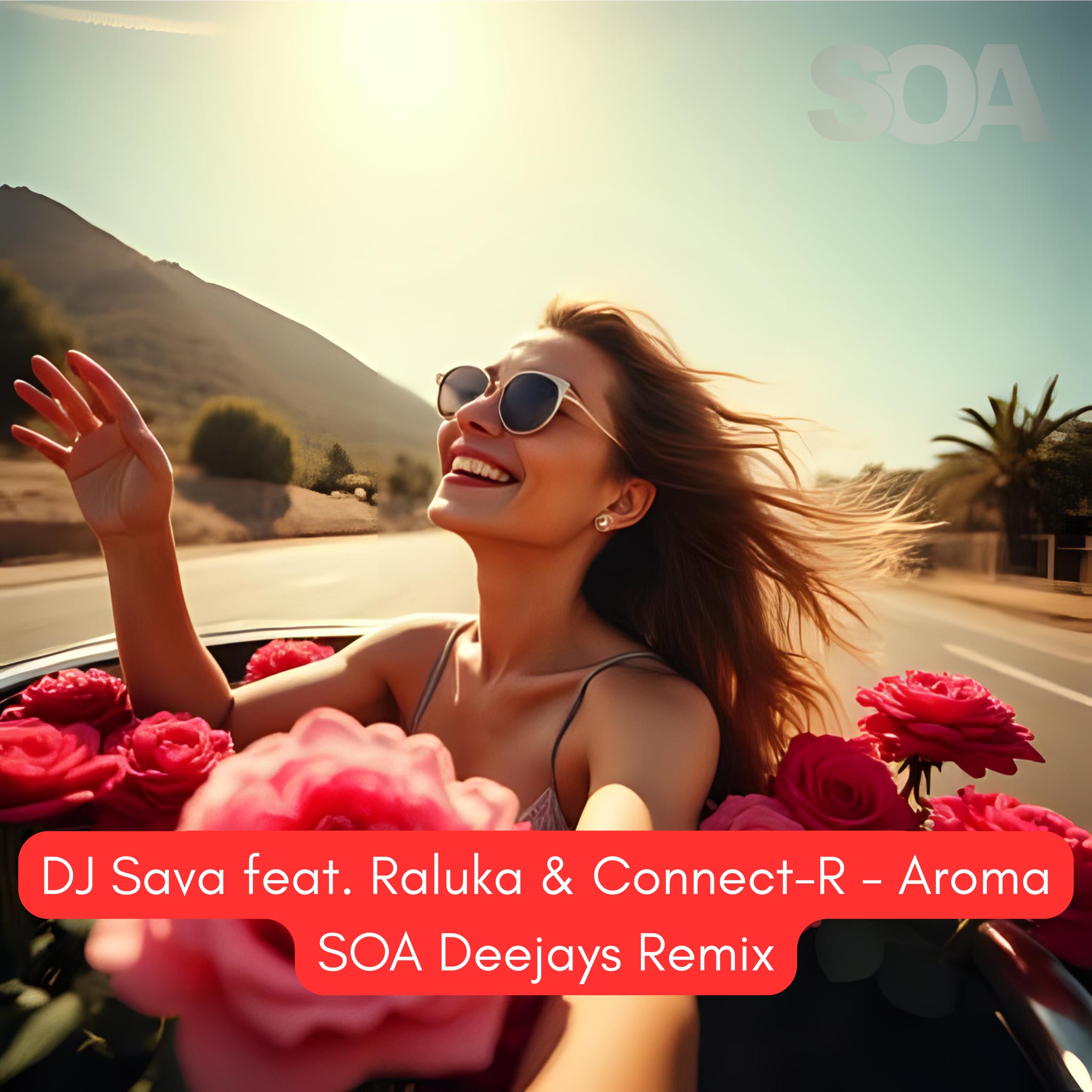 Aroma (SOA Deejays Remix) [feat. Raluka & Connect-R] - Single