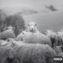 Silence of the Lambs Zel Omar