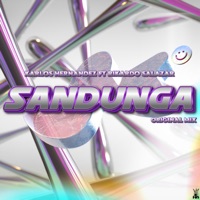 Sandunga (feat. Rikardo Salazar) - Single - Karlos Hernandez