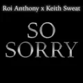 SO SORRY (feat. KEITH SWEAT & ROI CHIP ANTHONY)