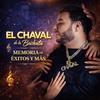 Memoria de Éxitos y Más - El Chaval de la Bachata