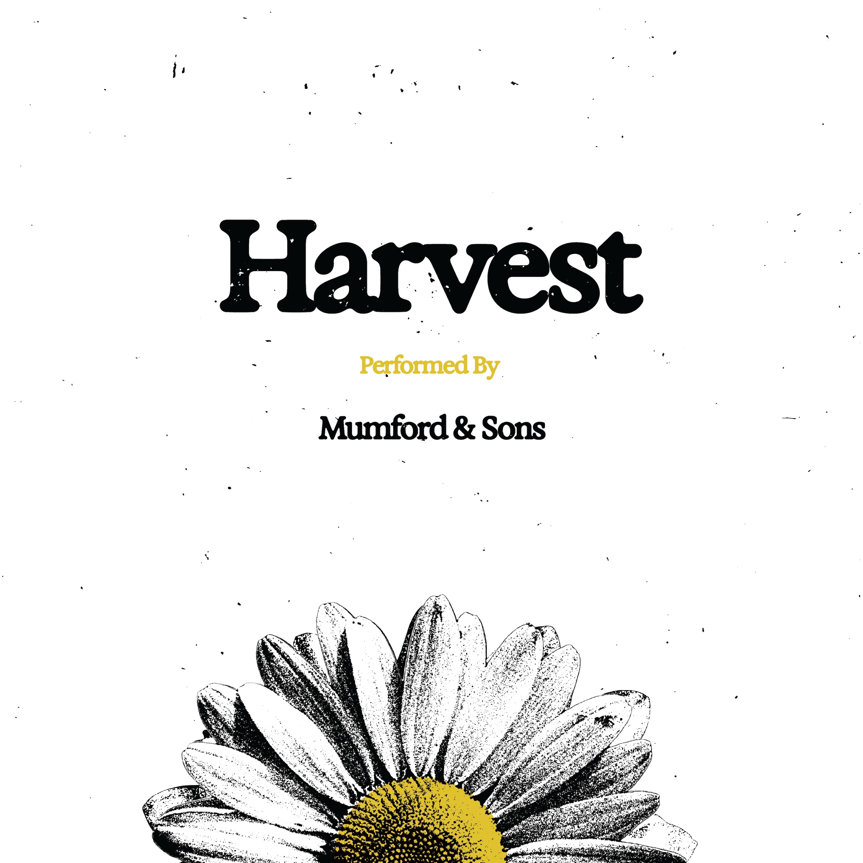 Mumford & Sons