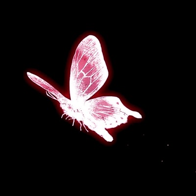 SET ME FREE (feat. D-ROCK & Bruxely!) - Single