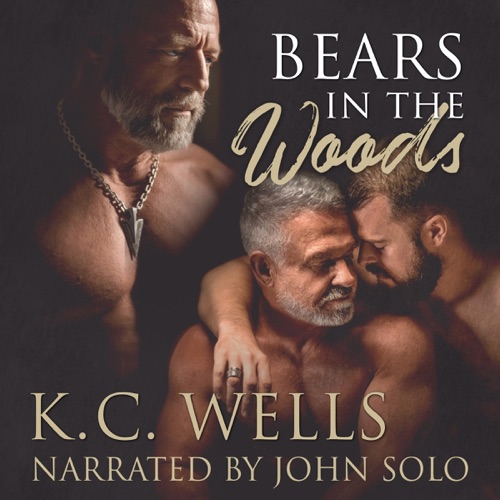 Bears in the Woods cover