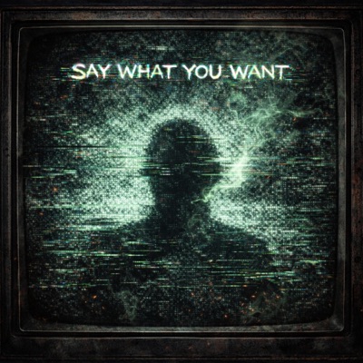 Say What You Want - Single