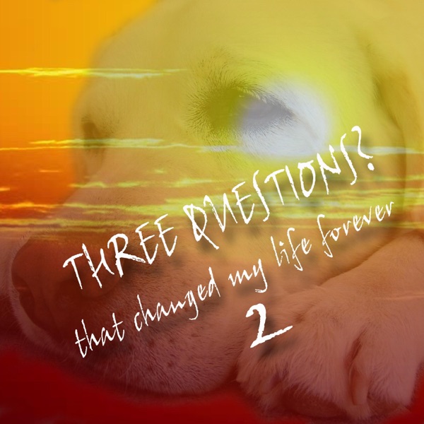 THREE QUESTIONS?..that changed my life forever 2 - Single