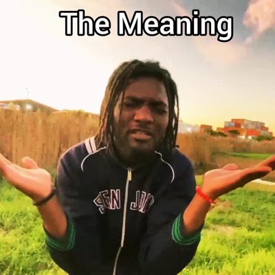 The Meaning - Single
