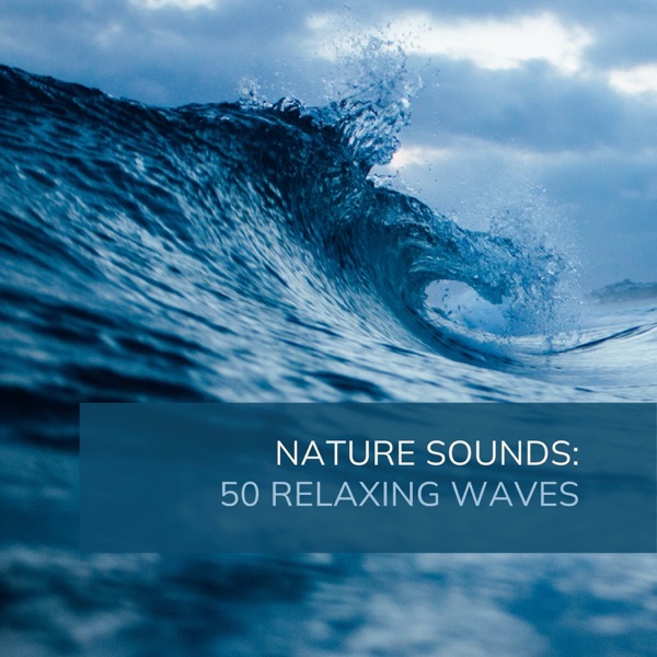 Nature Sounds: 50 Relaxing Waves
