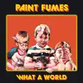 PAINT FUMES