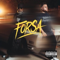 Forsa - Single - Randall Luidens & Ataniro
