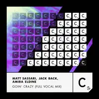 Crazy (Extended Mix)