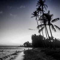 Pause (Selah) - Single - Terror Firma