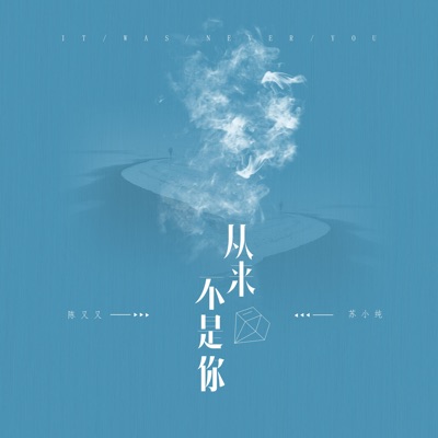 从来不是你 - Single